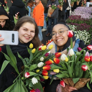 Narodowy Dzień Tulipana 2025 – 750 lat Amsterdamu wśród kwiatów